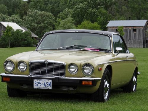 2016 Robertson_website