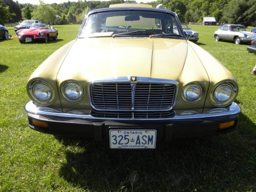 2018 Robertson 2_website