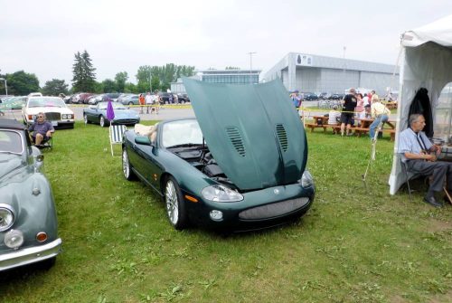 P1010212_website