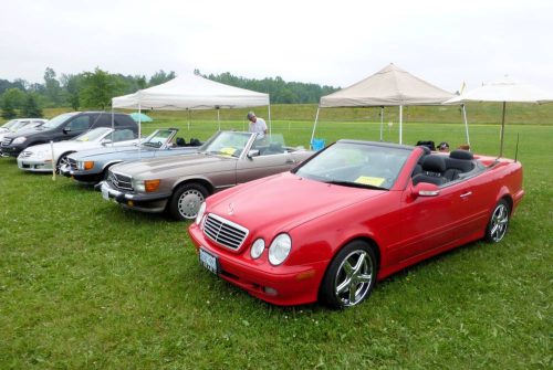 P1010235_website