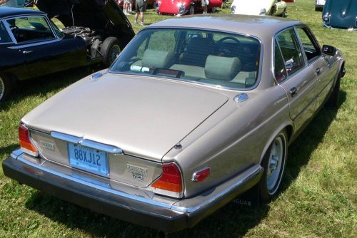 P1030520a_website