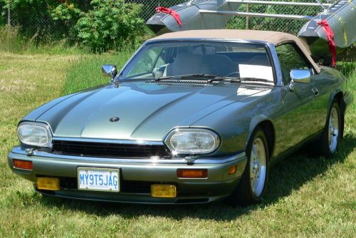 P1030556a - Copy_website