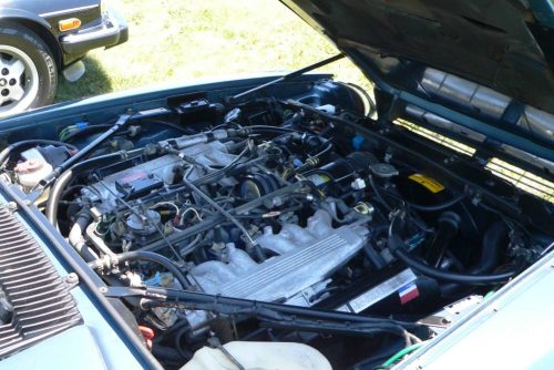 P1030558a - Copy_website