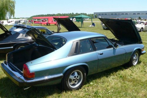 P1030559a - Copy_website