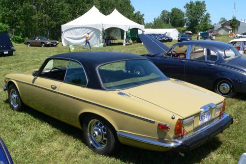 P1030566a - Copy_website