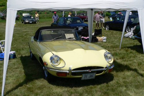 P1030575a - Copy_website