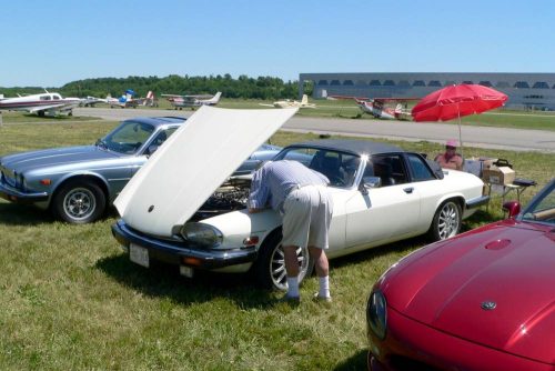 P1030604a - Copy_website