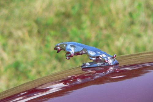 P1030677a - Copy_website