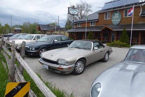 P1030973 - Copy_website