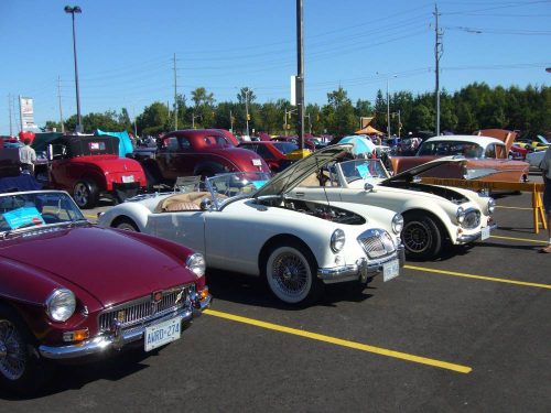 P1040043 - Copy_website