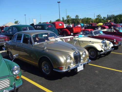 P1040049 - Copy_website