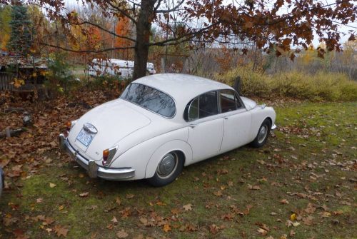 P1060318 - Copy_website